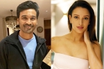 Triptii Dimri next movie, Triptii Dimri next film, dhanush to romance animal actress triptii dimri, Nagarjuna