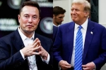 Donald Trump, Elon Musk and Donald Trump budget, elon musk s big bet on donald trump, American elections 2024