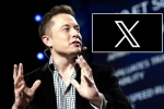 X subscription from Elon Musk, Elon Musk, elon musk announces that x would be paid for everyone, Revenue