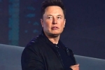 Elon Musk latest update, Elon Musk news, elon musk talks about cage fight again, Revenue
