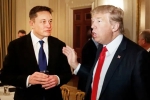 Elon Musk for Donald Trump, Donald Trump's Campaign latest breaking, elon musk donates for donald trump s campaign, Behind the scenes