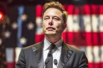 Elon Musk - Donald Trump, Musk reply on social media, is elon musk in the trump cabinet, Fbi