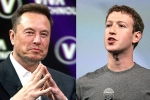 Elon Musk and Mark Zuckerberg flight, Mark Zuckerberg, elon vs zuckerberg mma fight ahead, Lex fridman