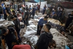 Hospital attack in Gaza, Daniel Hagari - spokesperson of Israel, 500 killed at gaza hospital attack, France