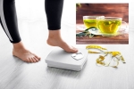 Green Tea, Green Tea for Weight loss study, can consuming green tea really help in weight loss, Green tea