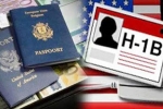 H1B drops, H1B drops, huge drop in sanctions of h1b visa to indian it companies by 43 between 2015 17, Us visa drops by 43