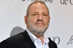 Harvey Weinstein, Harvey Weinstein, uk probe into harvey weinstein s sexual assaults widens with seven women, British film institute