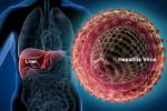 Hepatitis C virus, Hepatitis C virus, good news india may soon get treatment for hepatitis c, Lower breast cancer risk