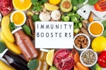 Immunity Tips best, Immunity Tips for humans, interesting science backed tips to feel your best, Harvard university