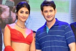 Trivikram, Pooja Hegde new film, mahesh babu all set to romance pooja hegde again, Maharshi