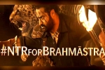 NTR guest for Brahmastra, Brahmastra Telugu event, ntr turns chief guest for brahmastra event, Fox star