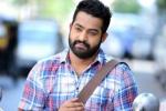 NTR updates, Kalyanram, official ntr s next film locked, Sardar gabbar singh