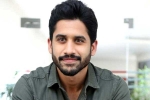 Naga Chaitanya films, Naga Chaitanya new flms, naga chaitanya coming up with a strong lineup of films, Vijay kanakamedala