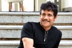 Nagarjuna new movie, Nagarjuna 100th film, nagarjuna s 100th film will be a multi starrer, Nagarjuna 100th film