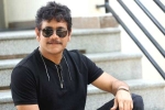 Nagarjuna 100th movie, Akhil Akkineni, nagarjuna s 100th film locked, Nagarjuna and akhil