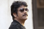 Nagarjuna, Nagarjuna new, nag signs a bollywood flick, Kargil