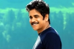 Nagarjuna and Rashmika Mandanna, Nagarjuna and Rashmika Mandanna updates, nagarjuna s surprise in dhanush s film, Akkineni nagarjuna