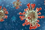 China Covid Row breaking news, China, new china coronavirus variant traced in india, Omicron