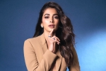 Pooja Hegde Hindi, Pooja Hegde lineup, pooja hegde lines up bollywood films, Karti