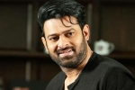 Prabhas next movie, Prabhas new movie, prabhas to join project k from november, Ashwini dutt