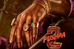 Pushpa: The Rule song, Pushpa: The Rule shoot, allu arjun s dedication for pushpa the rule, Rockstar