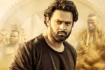 Saaho news, Saaho collections, saaho first week telugu collections, Evelyn sharma