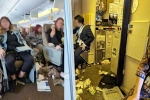 Singapore Airlines turbulence horror, Singapore Airlines turbulence horror news, one dead and 30 injured in singapore airlines turbulence horror, Singapore airlines