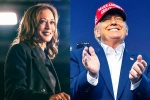 Donald Trump Vs Kamala Harris polls, US Election Race, who has the edge in a thrilling us election race, Singer