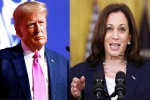 Kamala Harris, US Presidential Polls breaking, ai predictions on us presidential polls, Google search