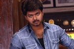 Vijay, Vijay Jawan updates, vijay in a cameo, Mersal