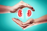 World Kidney Day 2025 experts, World Kidney Day 2025 to be taken, world kidney day 2025 theme and health tips, Rating