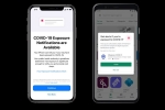 public health authorities, exposure notification express, apple releases ios 13 7 with covid 19 exposure notifications, Apple ios 16