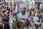 Bin Laden news, Jihadists, bin laden continues to mobilize jihadists ten years after his death, Arabian sea