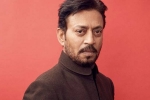 actor, Hollywood, bollywood and hollywood showers in tribute to irrfan khan, Hollywood star