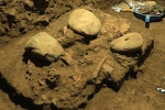 7200 year old human remains study, 7200 year old human remains breaking updates, remains of a teenager who died 7200 years found, Toalean culture