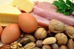 protein rich foods, cells, why protein is an important part of your healthy diet, Best foods